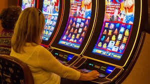 255bet